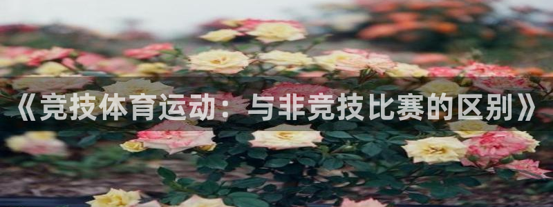 急速体育首页：《竞技体育运动：与非竞技比赛的区别》