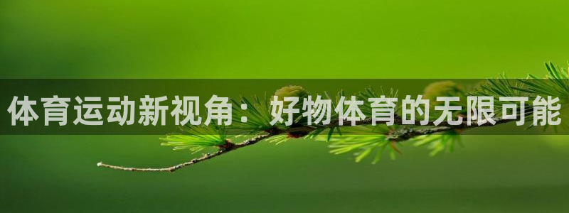 急速体育：体育运动新视角：好物体育的无限可能