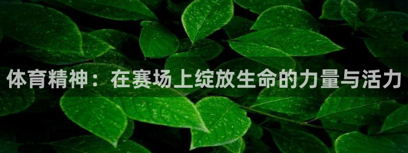 急速体育直播nba：体育精神：在赛场上绽放生命的力量与活力