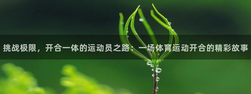 急速体育：挑战极限，开合一体的运动员之路：一场体育运动开合的精彩故事