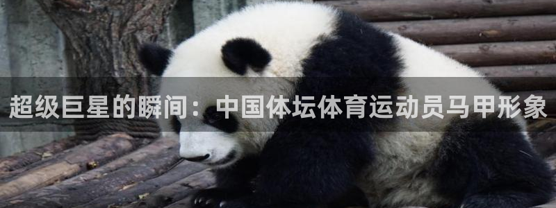 急速体育cba：超级巨星的瞬间：中国体坛体育运动员马甲形象