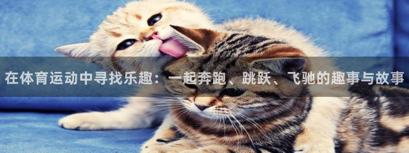 急速体育直播nba：在体育运动中寻找乐趣：一起奔跑、跳跃、飞驰的趣事与故事